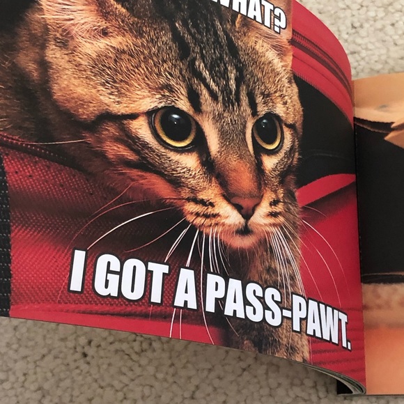 4. piece cat lover gift selection stocking stuffer - Picture 9 of 14